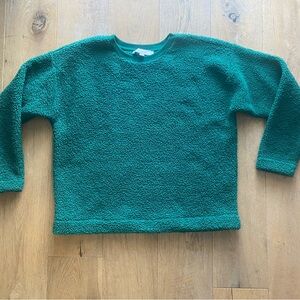 LOFT Green Crew Neck Fuzzy Sweater